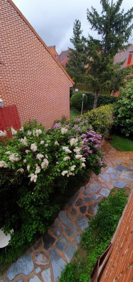 Casa Cercedilla Montana Esqui Villa Exteriör bild